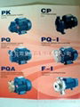 CP, PQ, HF, Italy pedrollo pedro pumps