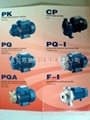 CP,PQ,HF,意大利pedrollo佩德罗水泵