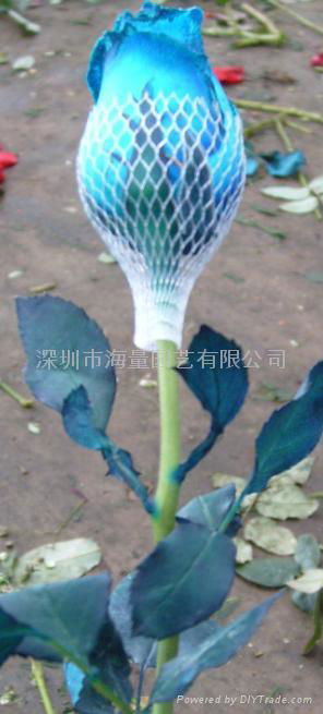 干玫瑰花瓣 4