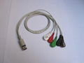 GE-Marqutte holter ECG leadwire 2