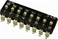 IC type Dip Switch 2