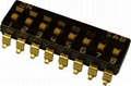 IC type Dip Switch 3