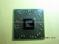 computer display chip/sound chip/network chip