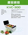 Ultrasonic vegetable and fruit cleaning machine 