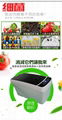 Ultrasonic vegetable and fruit cleaning machine  5