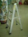 SETUP LADDER