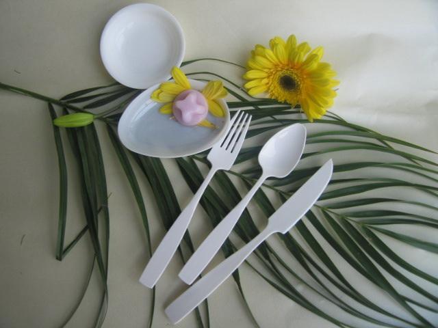 plastic cutlery 2