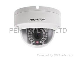 IP camera DS-2CD2112-I