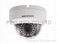IP camera DS-2CD2132-I