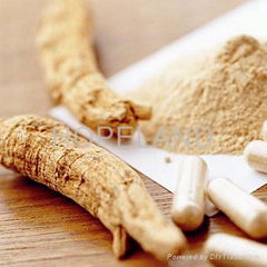 Ginseng Extract (Ginsenoside)