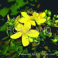 Tribulus Terrestris Extract