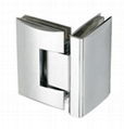 shower hinge 1