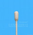 Cotton swab