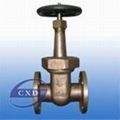 5K/10K JIS- marine- bronze rising stem type gate valve