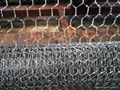 Hexagonal Wire Mesh 2