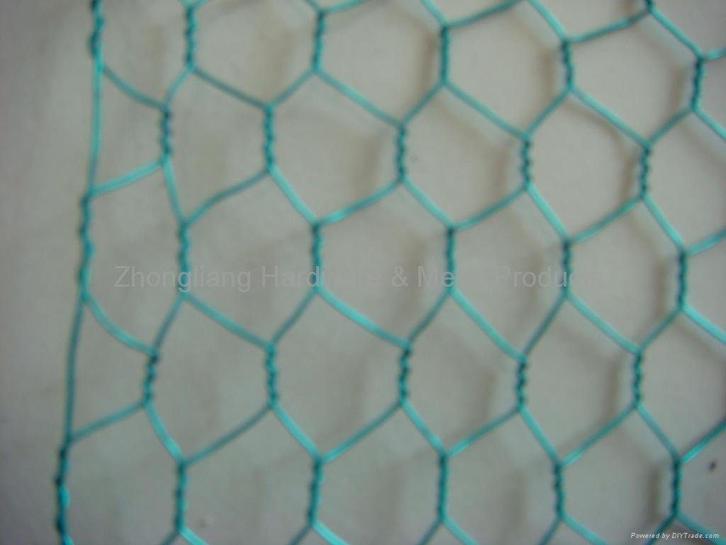 Hexagonal Wire Mesh 3