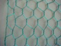 Hexagonal Wire Mesh 3