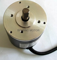 dc brushless motors