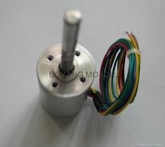 30mm brushless motor