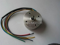 brushless motor