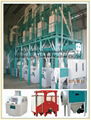 wheat processing line 3
