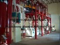 wheat processing equipment 2