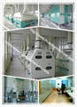 wheat processing equipment