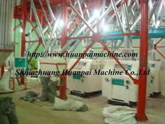 maize flour production line