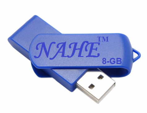 8GB Twister USB Flash Drive