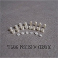 95 alumina ceramic wear resistance High temperature resistant