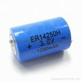 ER14250 1/2 AA lithium batteries 1200mAh 3.6V
