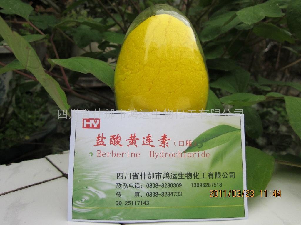 黃連素小檗碱