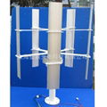 Shanghai Provides 10 Watt Micro Vertical Axis Wind Turbine 5