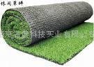南京人造塑膠草坪