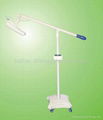 LED whitening light 1