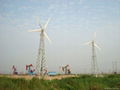 Arena10.0-20KW wind generator 