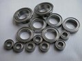 Bearing Sets for CORALLY
