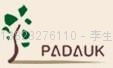 臺灣應廣科技單片機(PADAUK) 1