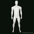 supply male mannequin
