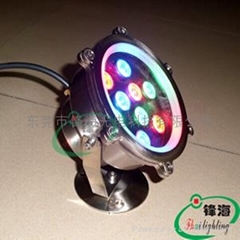 LED underwater light/LED Swimming pool/LED fountain light(FH-SC155-9W)