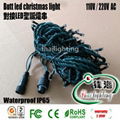 Docking LED Christmas Light String 10 Meter 100 Light 110V 220V Flashing