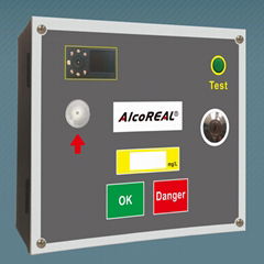 Quick Breathalyzer with door lock control and Camera