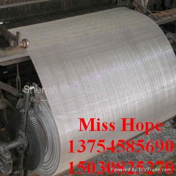 Crimped Wire Mesh 2