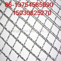 Crimped Wire Mesh 5