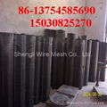 Black Wire Cloth 3