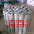  galvanized wire mesh