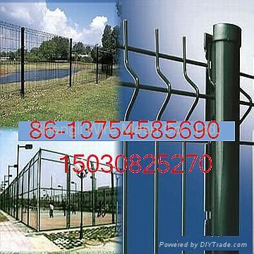 galvanzied and pvc wire mesh fence 5