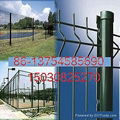 galvanzied and pvc wire mesh fence 5