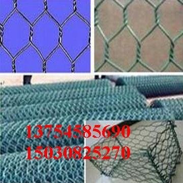 galvanized and pvc Hexagonal wire mesh 2
