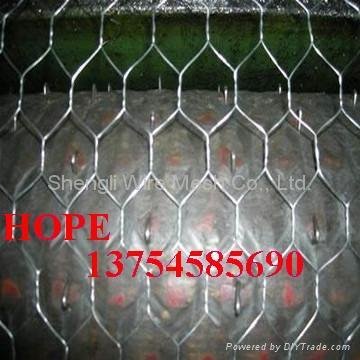galvanized and pvc Hexagonal wire mesh 3